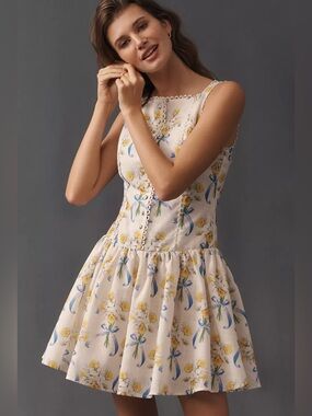 NWT En Saison Short-Sleeve Drop-Waist Mini Dress